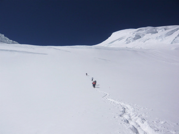 ������� �� �������� 2023, ���� 133