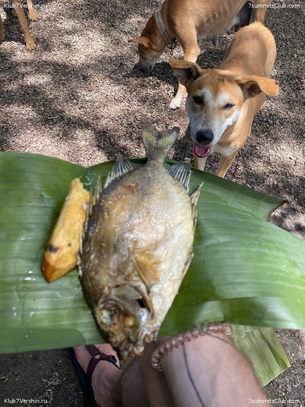 ����� ������. ���� �� ������ �������-������, ���� 69