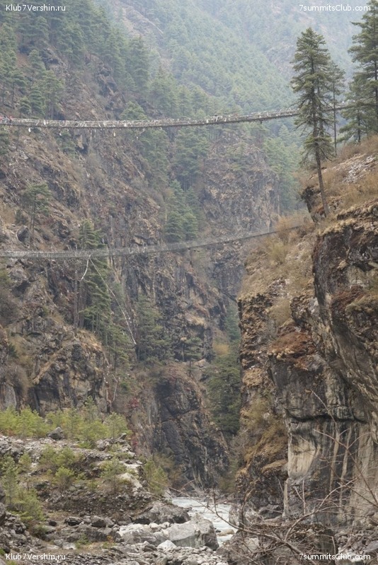 ����� 2023. ���� � ���. ������. �. ���������, ���� 115