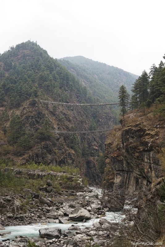 ����� 2023. ���� � ���. ������. �. ���������, ���� 118