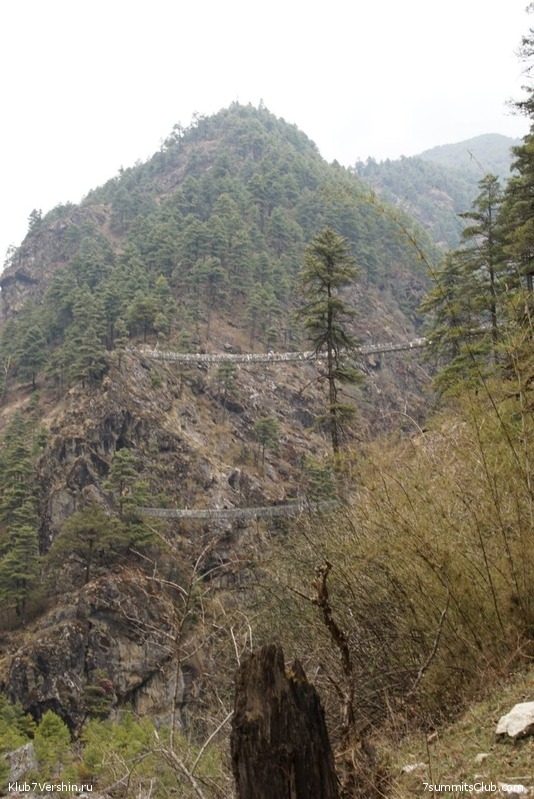 ����� 2023. ���� � ���. ������. �. ���������, ���� 119