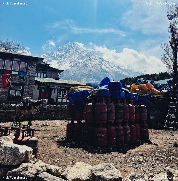 ����� 2023. ���� � ���. ������. �. ���������, ���� 79