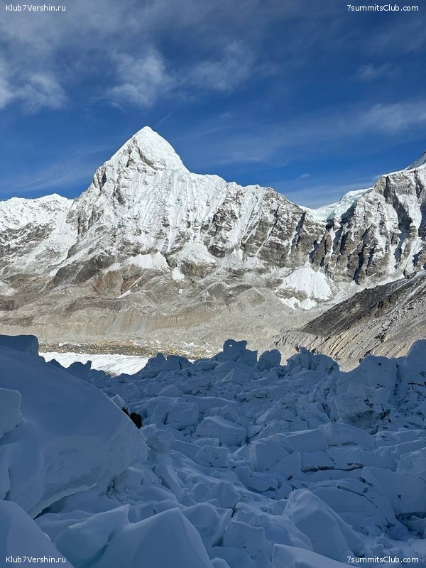 ������� 2023. ���������� ����� 8000. ������ �������. ������, ���� 174