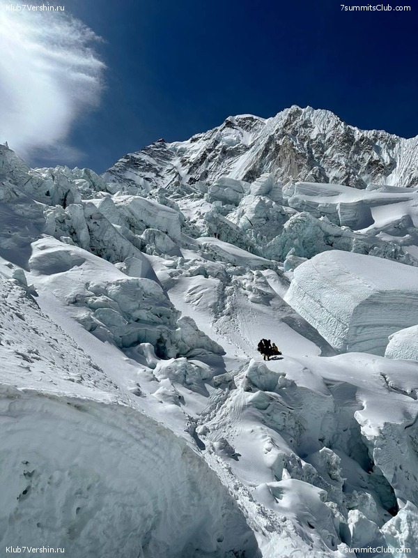 ������� 2023. ���������� ����� 8000. ������ �������. ������, ���� 176