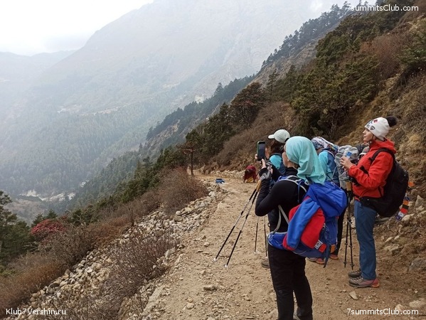 ����� 2023. ���� � ���. ������. �. ���������, ���� 60