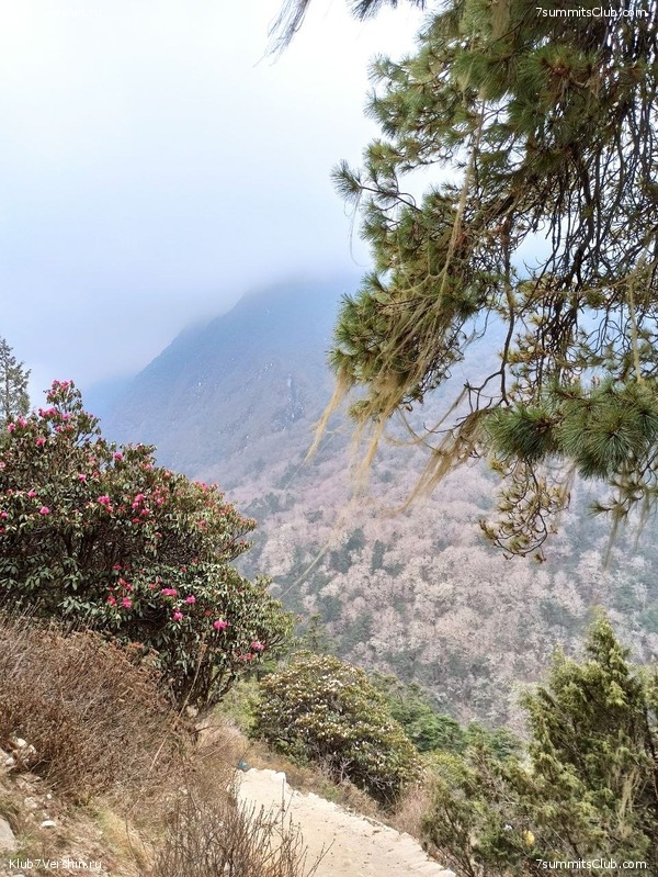 ����� 2023. ���� � ���. ������. �. ���������, ���� 105