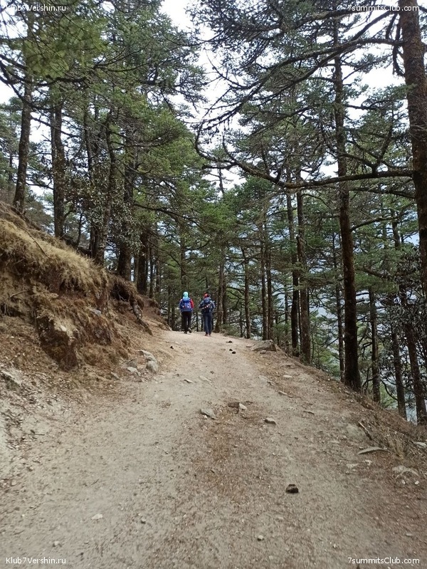 ����� 2023. ���� � ���. ������. �. ���������, ���� 106