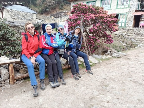 ����� 2023. ���� � ���. ������. �. ���������, ���� 61