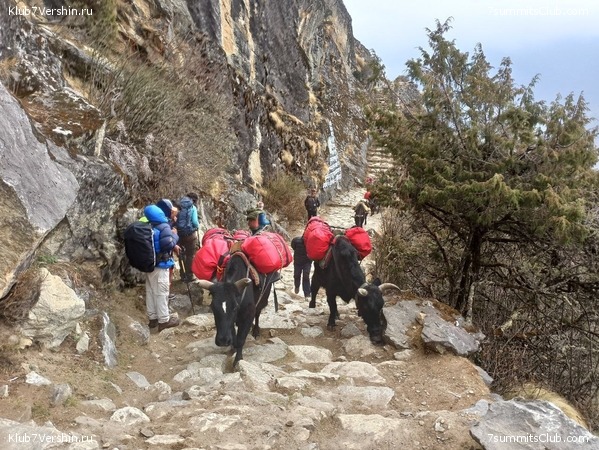 ����� 2023. ���� � ���. ������. �. ���������, ���� 63