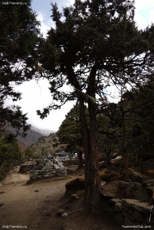 ����� 2023. ���� � ���. ������. �. ���������, ���� 120