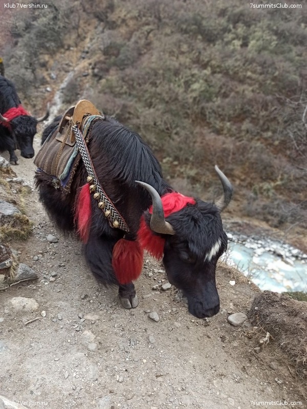 ����� 2023. ���� � ���. ������. �. ���������, ���� 109