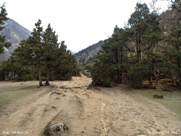 ����� 2023. ���� � ���. ������. �. ���������, ���� 65