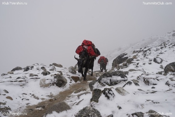 ����� 2023. ���� � ���. ������. �. ���������, ���� 34