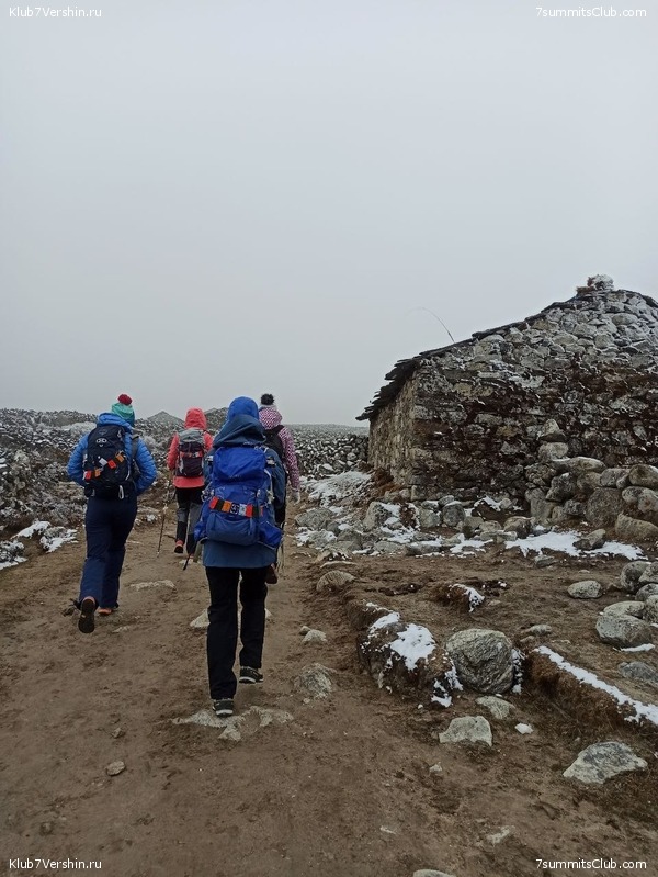 ����� 2023. ���� � ���. ������. �. ���������, ���� 114