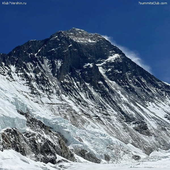  2023.   8000.  . ,  80