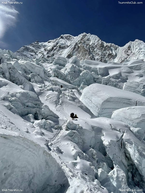 ������� 2023. ���������� ����� 8000. ������ �������. ������, ���� 185