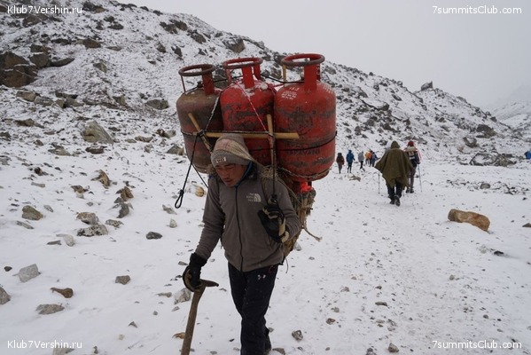 ����� 2023. ���� � ���. ������. �. ���������, ���� 43