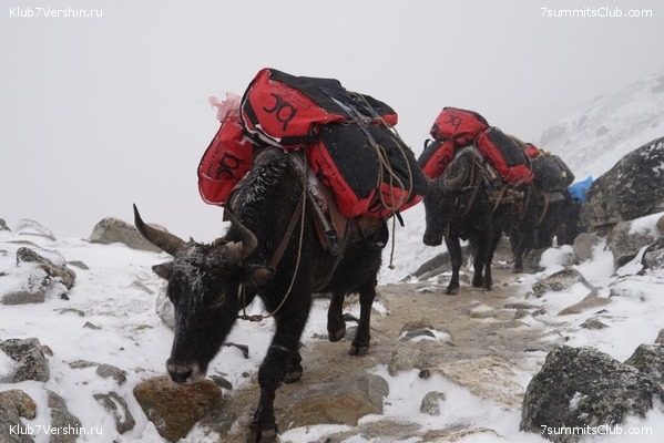 ����� 2023. ���� � ���. ������. �. ���������, ���� 44