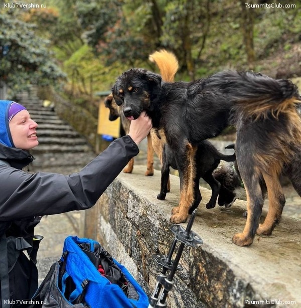 ����� 2023. �������� � �������� ������. ����� ������������, ���� 65