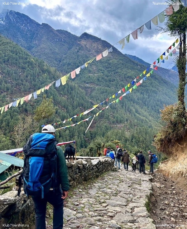 ����� 2023. �������� � �������� ������. ����� ������������, ���� 81