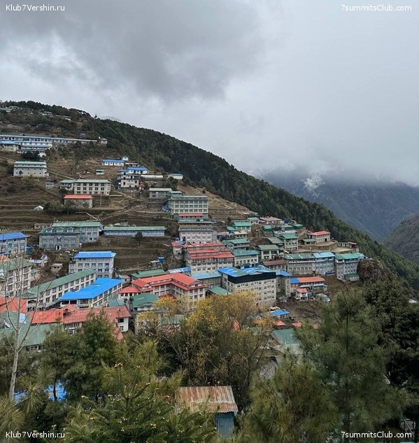  2023.   8000.  . ,  84