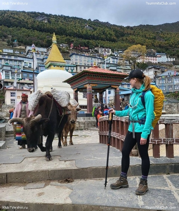 ����� 2023. �������� � �������� ������. ����� ������������, ���� 75