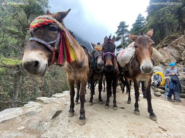 ����� 2023. �������� � �������� ������. ����� ������������, ���� 31