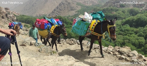 �������. 2023. ���. ��������� ���������, ���� 2