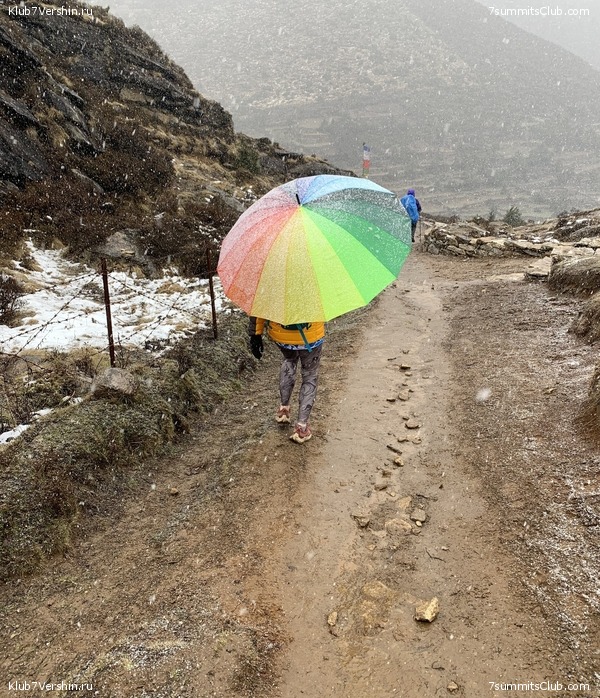 ����� 2023. �������� � �������� ������. ����� ������������, ���� 74