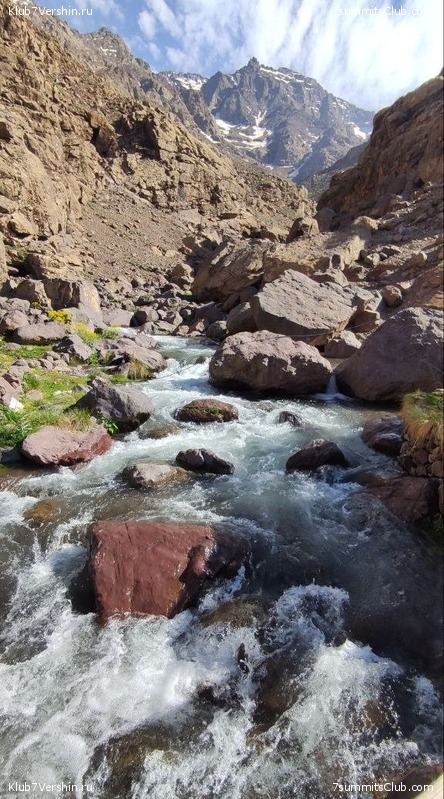 �������. 2023. ���. ��������� ���������, ���� 118