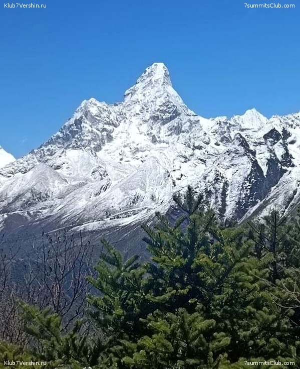 �����. 2023. ���. ��� ������ ������, ���� 39