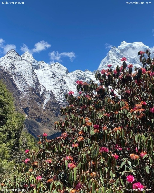 ����� 2023. �������� � �������� ������. ����� ������������, ���� 86