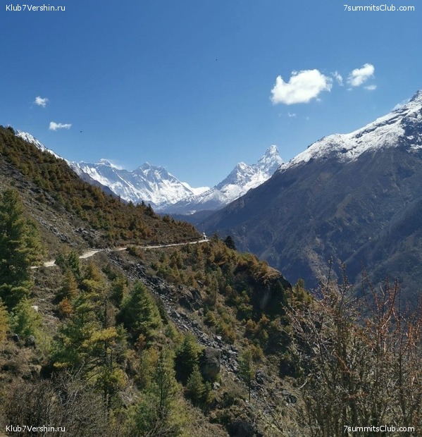 �����. 2023. ���. ��� ������ ������, ���� 31