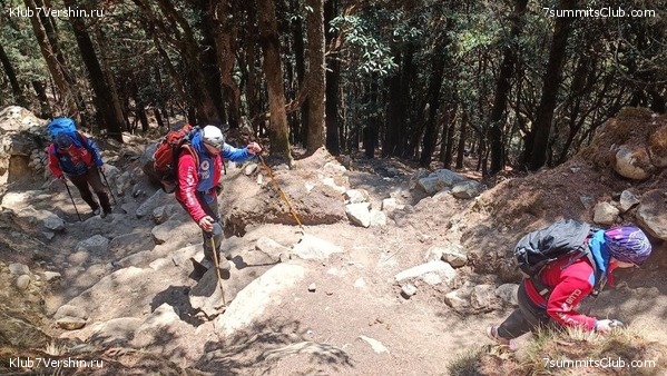 �����. 2023. ���. ��� ������ ������, ���� 22