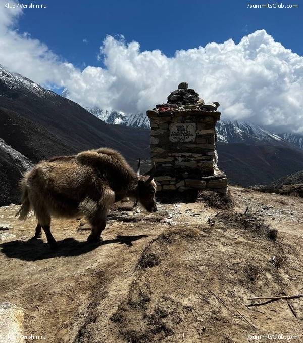 ����� 2023. �������� � �������� ������. ����� ������������, ���� 70