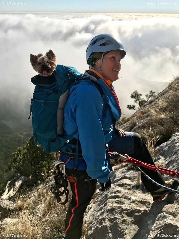 ������� 2023. ���� ������, ���� 16