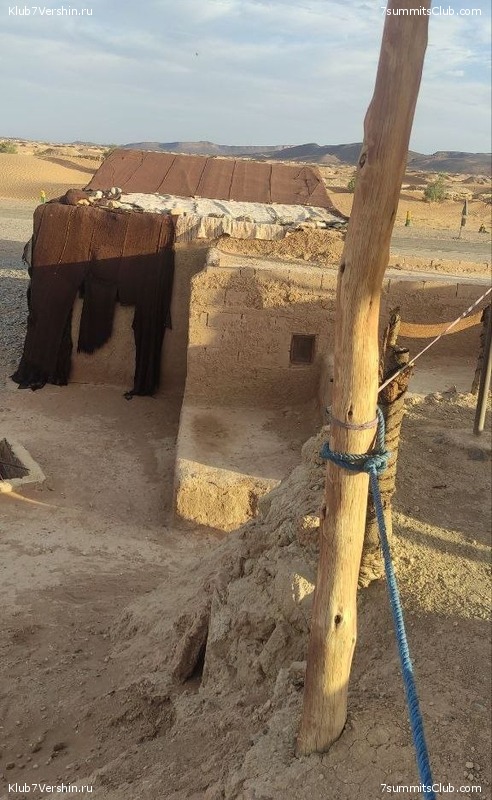 �������. 2023. ���. ��������� ���������, ���� 102