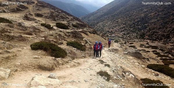 �����. 2023. ���. ��� ������ ������, ���� 9