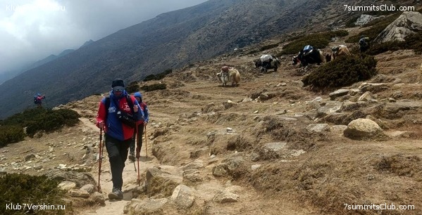 �����. 2023. ���. ��� ������ ������, ���� 10