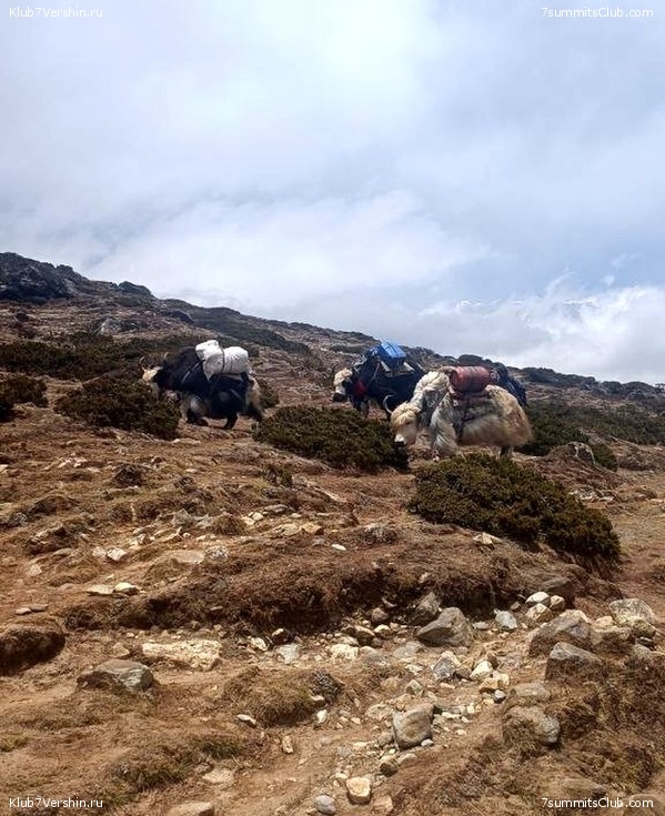 �����. 2023. ���. ��� ������ ������, ���� 40