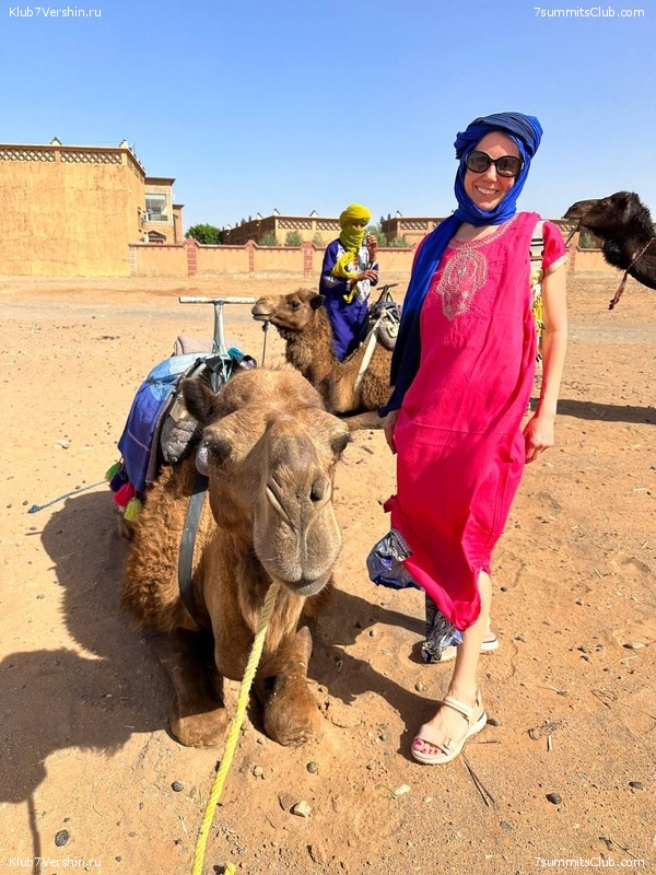 �������. 2023. ���. ��������� ���������, ���� 71