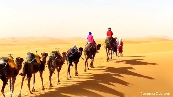 �������. 2023. ���. ��������� ���������, ���� 44