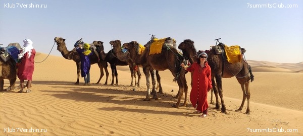 �������. 2023. ���. ��������� ���������, ���� 14