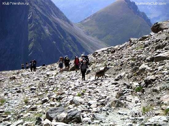 ������� �������, ���� 61