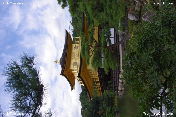 ������ �������-������ 2010, ���� 3