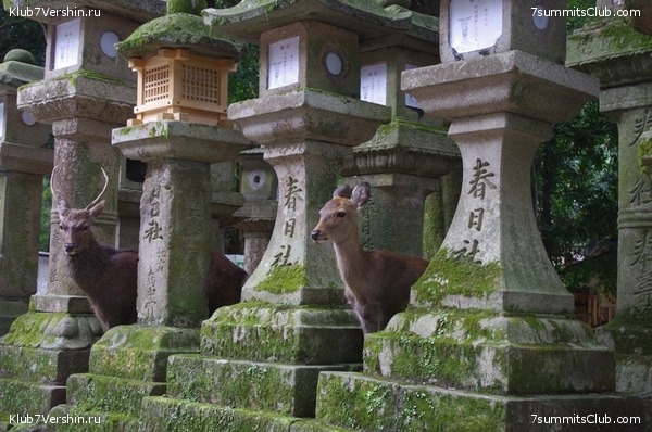  ,            ,  ,       .