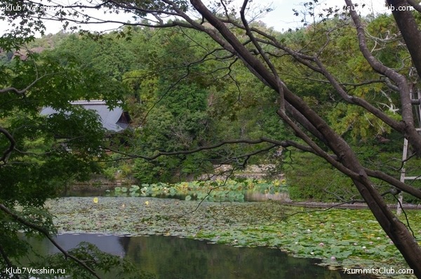 ������ �������-������ 2010, ���� 26