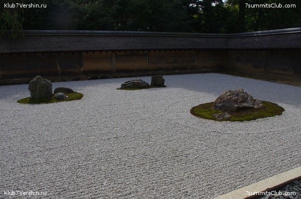 ������ �������-������ 2010, ���� 31