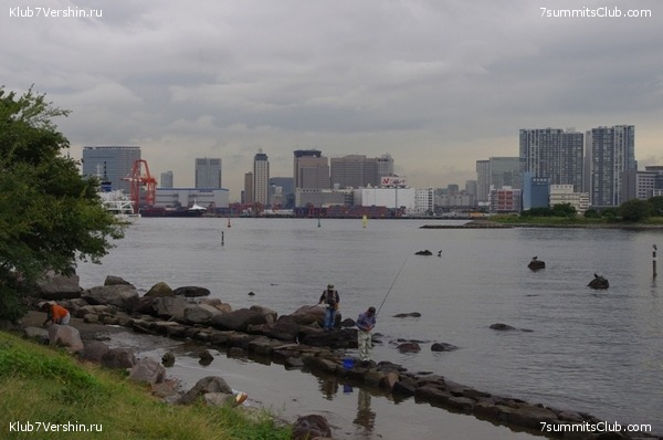 ������ �������-������ 2010, ���� 34