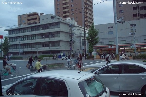 ������ �������-������ 2010, ���� 35